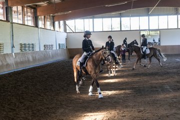 Bild 8 - Pony Akademie Turnier